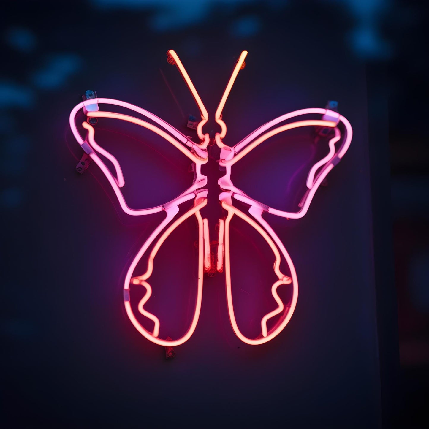 Custom Butterfly Neon sign Name | Butterfly Neon sign | Bedroom Butterfly Neon Sign | Restaurant Neon Sign | Led Name Sign Logo Sign